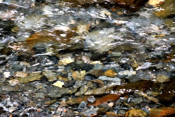 clear river water