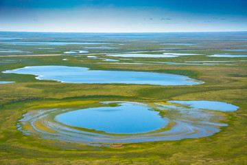 Landscape of the arctic tundra in summer. Rivers, lakes, northern vegetation. View from above. The...