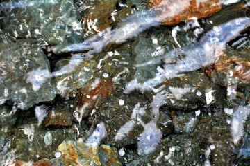 clear river water
