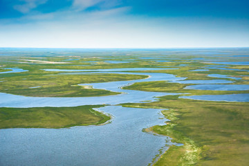 Landscape of the arctic tundra in summer. Rivers, lakes, northern vegetation. View from above. The concept of climate change, warming in the Arctic.