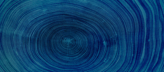 Old wooden oak tree cut surface. Detailed indigo denim blue tones of a felled tree trunk or stump. Rough organic texture of tree rings with close up of end grain. - obrazy, fototapety, plakaty