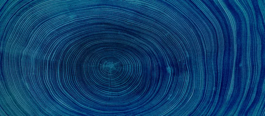 Gordijnen Old wooden oak tree cut surface. Detailed indigo denim blue tones of a felled tree trunk or stump. Rough organic texture of tree rings with close up of end grain. © CaptureAndCompose