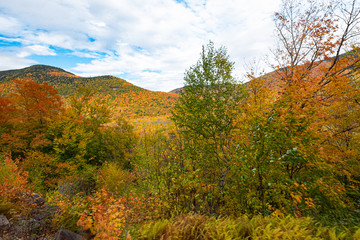 Obraz premium Conway Scenic Railroad View 8