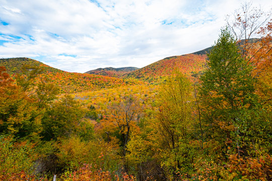 Conway Scenic Railroad View 7