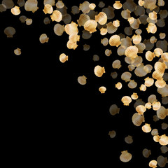 Aquatic scallop, bivalve pearl shell, marine mollusk isolated on black