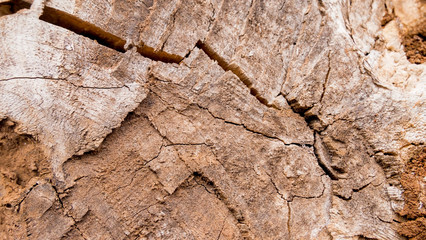 Wood block texture as background background.