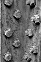 a plate with many screws