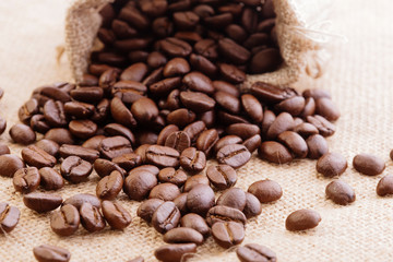 brown arabica coffee beans with coffee sack.
