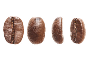 macro brown arabica coffee bean isolated on white background.