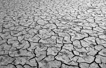 an area with cracked soil