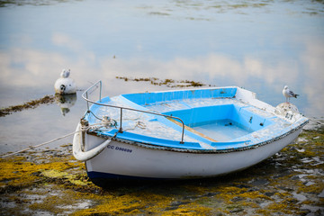 Little fishing boat on a sunny day. Brittany. France