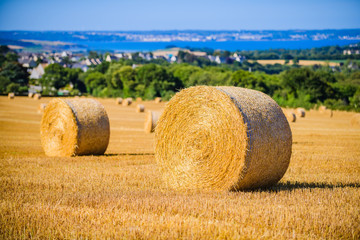 Fototapeta premium Landscape with twisted haystack . Brittany. France