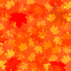 Naklejka na ściany i meble autumn background with maple leaves. vector illustration. design template for print, greeting card, banner, invitation, poster, vignette, flyer, card, sign