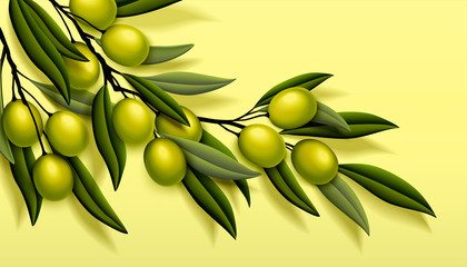 Olive branch illustration © JoyImage
