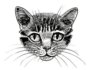 Cute cat head. Ink black and white illustration