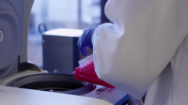 Clinical laboratorist pulling beakers out of centrifuge.