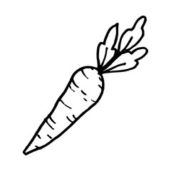 carrot cartoon doodle icon isolated on white background