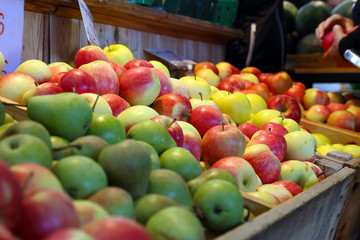 Organic, fresh farm grown apple. Ecologic natural vegetable background.