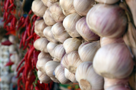 Macro photo natural farm grown garlic bulb. Fresh natural garlic background.