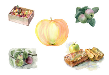 Watercolor hand-drawn sketch on textured paper. Delicious ruddy apple harvest set isolated on white background.