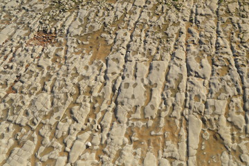 Detail of rocky beach during low tide