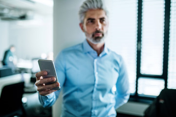 Portrait of young businessman with smartphone standing in an office.