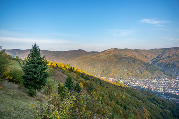 Yellow autumn forest in the mountains