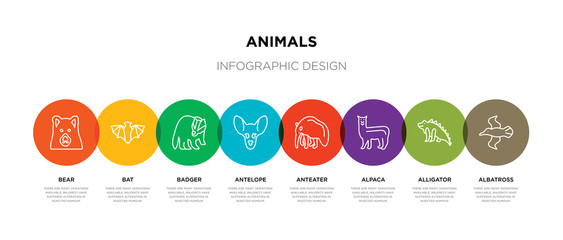 8 colorful animals outline icons set such as albatross, alligator, alpaca, anteater, antelope, badger, bat, bear