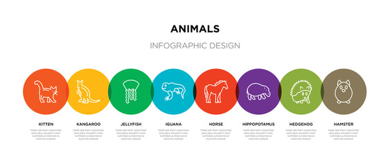 8 colorful animals outline icons set such as hamster, hedgehog, hippopotamus, horse, iguana, jellyfish, kangaroo, kitten