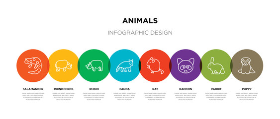 8 colorful animals outline icons set such as puppy, rabbit, racoon, rat, panda, rhino, rhinoceros, salamander