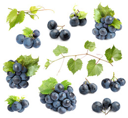 Set of fresh ripe grapes and leaves on\ white background
