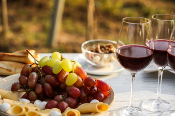 Red wine and snacks served for picnic on white wooden table outdoors