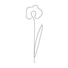 Spring flower design, vector illustration