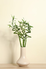 Vase with bamboo stems on wooden table against beige wall