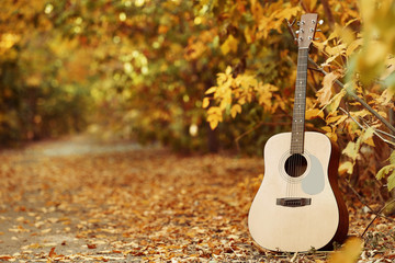 Modern acoustic guitar in park on sunny day - obrazy, fototapety, plakaty