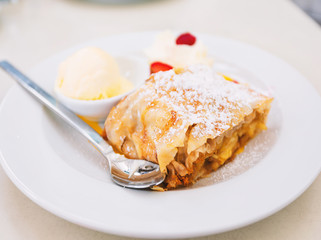 Real Viennese apple strudel in a cafe in Vienna, Austria