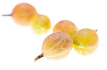 Gooseberry berries isolated on a white background