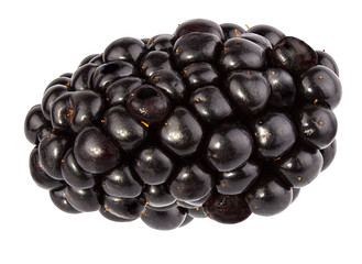 Blackberry isolated on white background with clipping path