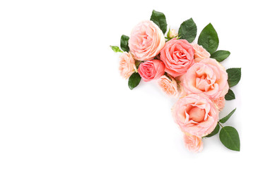 Obraz na płótnie Canvas Beautiful rose flowers on white background