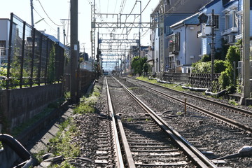 Fototapeta premium 鉄道の線路
