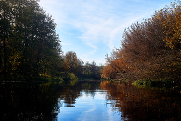 Fototapeta na wymiar Autumn in forest near river