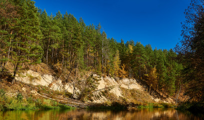 Fototapeta na wymiar Autumn in forest near river