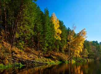 Autumn in forest near river