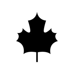 Leaf icon, logo isolated on white background