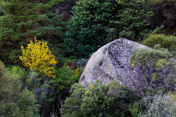 Views of the Pedriza mountain, in Madrid, Spain, in the early hours of the morning when the sun rises between the granite rocks