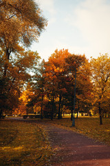 Autumn in the city Park, landscape with yellowed trees