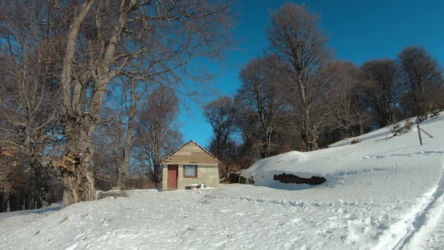 Cottage house in winter forest, establishment shot