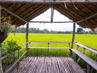 A rural hut beside the field. Can see the natural view From the window.