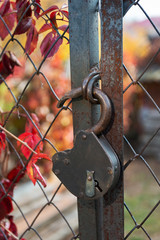 old padlock on a rusty wire mesh gate