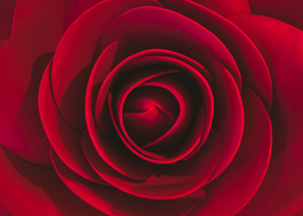 Red rose Beauty Art Craft decoration love valentine Background